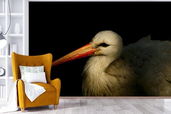 Papier peint Papier peint photo en vinyle - Portrait photo oiseau sur fond noir largeur 360 cm x hauteur 240 cm - Tirage photo sur papier peint (disponible en 7 tailles)