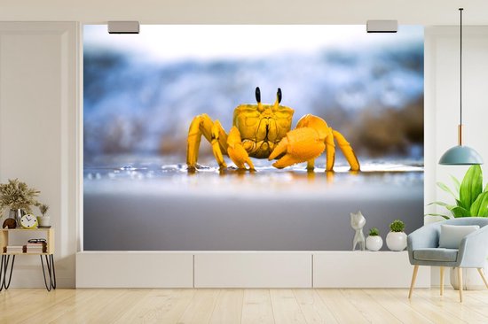 Papier peint photo peint photo vinyle - Crabe coloré sur le sable largeur 600 cm x hauteur 400 cm - Tirage photo sur papier peint (disponible en 7 tailles)