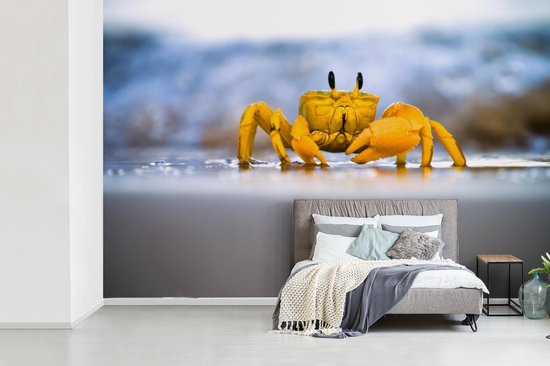 Papier peint photo peint photo vinyle - Crabe coloré sur le sable largeur 600 cm x hauteur 400 cm - Tirage photo sur papier peint (disponible en 7 tailles)
