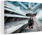 Canvas schilderij 150x100 cm - Wanddecoratie Hond rennend over tribune - Muurdecoratie woonkamer - Slaapkamer decoratie - Kamer accessoires - Schilderijen