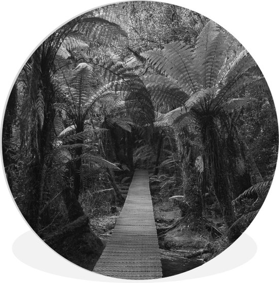 WallCircle - Wall Circle - Wall Circle Indoor - Nouvelle-Zélande - Chemin - Jungle - 60x60 cm - Décoration murale - Peintures Ronds