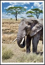 Poster van een olifant met bomen - 20x30 cm