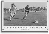 Walljar - Ijsselmeervogels - Noordwijk '76 - Muurdecoratie - Plexiglas schilderij