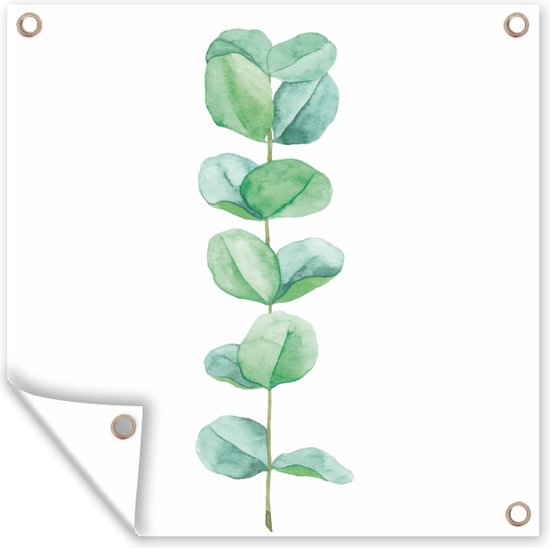 Aquarelle illustration eucaluptus plant jardin affiche toile en vrac 100x100 cm - toile de jardin / toile d'extérieur / Peintures pour l'extérieur (décoration de jardin)