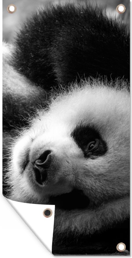 Tuinposter 30x60 cm - Tuindecoratie Dierenprofiel rollende panda in zwart-wit - Poster voor in de tuin - Buiten decoratie - Schutting tuinschilderij - Tuindoek muurdecoratie - Wanddecoratie balkondoek