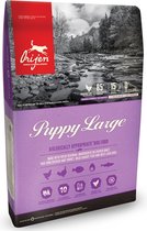 Orijen Puppy Large Breed Dog 11,4 kg - Hond