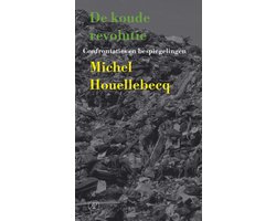 Omslag van De koude revolutie