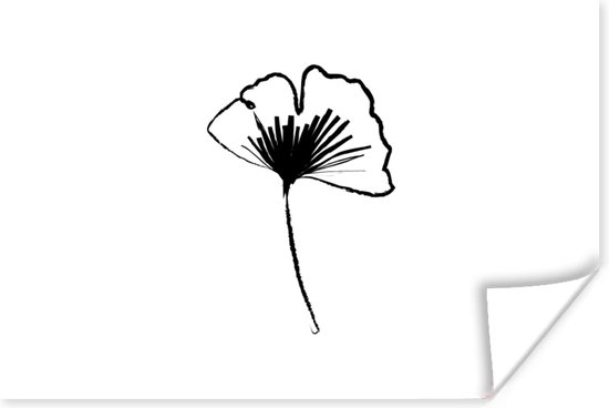 Poster 90x60 cm - Line art - Bloemen - Zwart - Wit - Posters - Kamer decoratie - Wanddecoratie woonkamer - Muurdecoratie slaapkamer - Kerstversiering - Kerstdecoratie voor binnen - Kerstmis