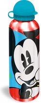 Bouteille Thermos Disney Mickey Mouse Junior 500 Ml Aluminium Rouge