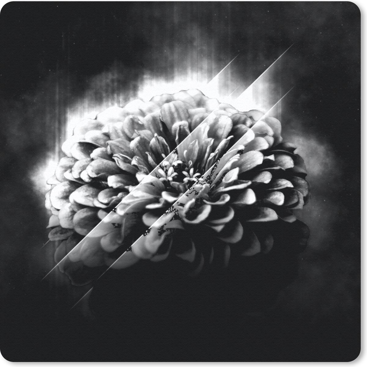 Muismat 30x30 cm - Mousepad Rozen - Bloemen - Licht - Zwart - Wit - Muismatten