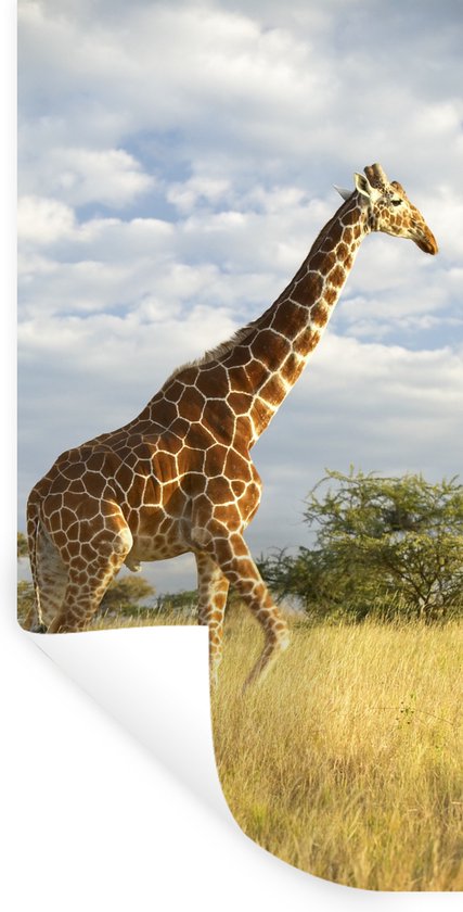 Papier peint chambre enfant Girafe dans la Savane