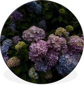 WallCircle - Wandcirkel - Muurcirkel - Bloeiende hortensia struiken in de tuin - Aluminium - Dibond - ⌀ 120 cm - Binnen en Buiten XXL