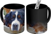 Magische Mok - Foto op Warmte Mok - Schaduwrijke Bernese Sennenhond - 350 ML