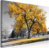 Schilderij - Autumn in the Park (1 Part) Wide Gold.