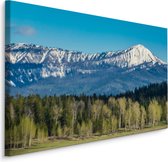 Schilderij - Grand Teton National Park, USA, Premium Print