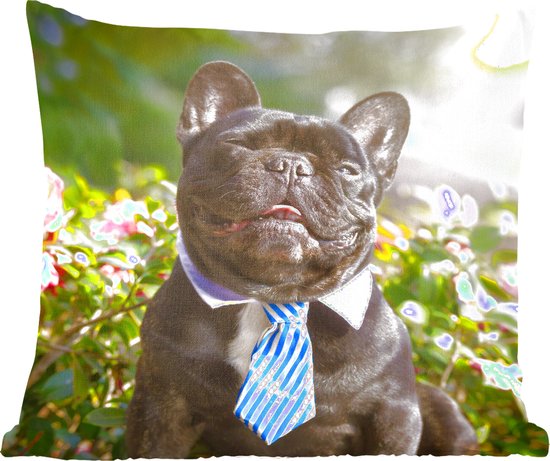 Sierkussen Bouledogue français pour l'intérieur - Bouledogue français avec une cravate bleue - 40x40 cm - Coussin intérieur carré en coton
