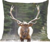 Coussins Coussins décoratifs - Oreillers Salon - 60x60 cm - Cerf - Arbre - Bois