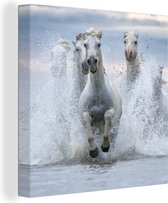 Canvas Schilderij Kudde witte paarden galoppeert door het water in Camargue - 50x50 cm - Wanddecoratie