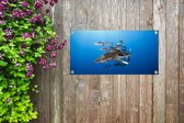 Tuinposter Haai met vissen - 60x30 cm - Tuindoek - Buitenposter