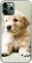 Geschikt voor iPhone 11 Pro hoesje - Golden Retriever puppy liggend op de bank - Siliconen Telefoonhoesje