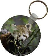 Sleutelhanger - Rode Panda - Takken - Groen - Plastic - Rond - Uitdeelcadeautjes