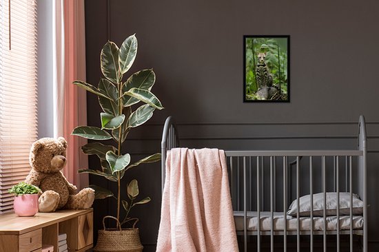 Cadre photo avec affiche - Ocelot du Costa Rica - 20x30 cm - Cadre pour affiche