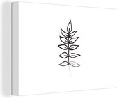 Illustration botanique en ligne d'une fougère sur fond blanc Toile 2cm 30x20 cm - petit - Tirage photo sur toile (Décoration murale salon / chambre) / Peintures Fleurs sur toile