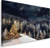 Schilderij - Bos in de Winter bij nacht, Premium Print