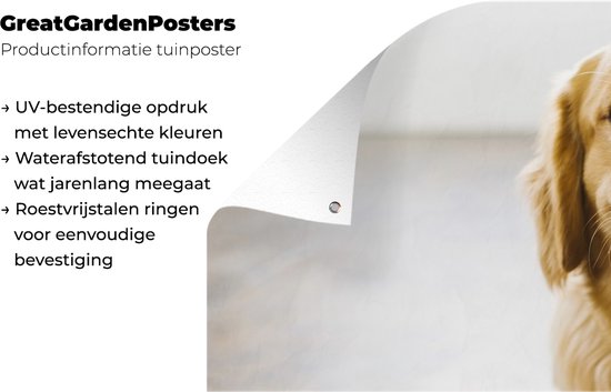 Décoration murale extérieur un super Golden Retriever - 160x80 cm - Toile de jardin - Affiche extérieure