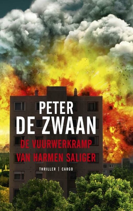 Cover van het boek 'De vuurwerkramp van Harmen Saliger' van Peter de Zwaan