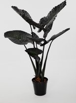 Alocasia kunstplant - zwarte bladeren - skeletplant - topkwaliteit kamerplant - zijdenplant - 130 cm hoog