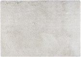 OZAIA Tapijt shaggy van microvezel HARVEY - Polyester - Wit - 160 x 230 cm L 230 cm x H 7 cm x D 160 cm