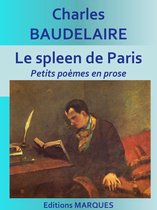 Le spleen de Paris: Petits poèmes en prose