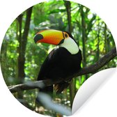 WallCircle - Stickers muraux - Cercle Papier Peint - Toucan dans l'Arbre - 120x120 cm - Cercle Mural - Auto Adhésif - Sticker Papier Peint Rond XXL