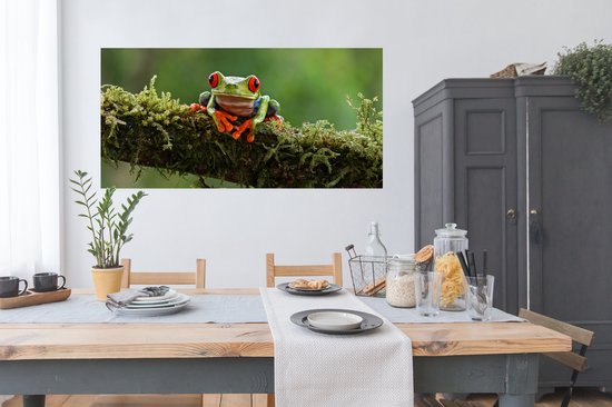 Poster Grenouille aux yeux rouges sur une branche couverte - 160x80 cm