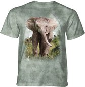 T-shirt Elephant Calf XXL