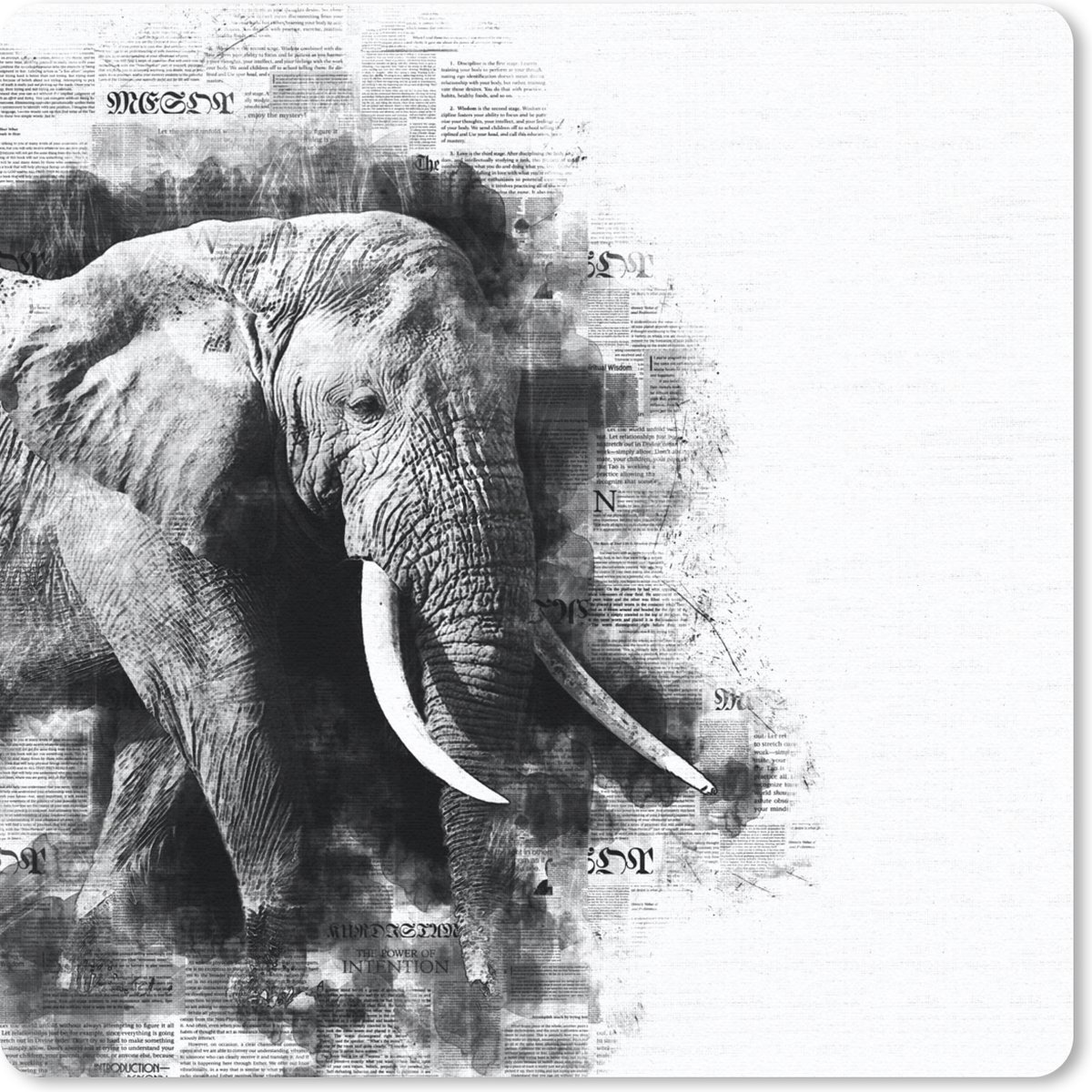 Muismat 20x20 cm - Mousepad Olifant - Krant - Verf - Zwart -Wit - Muismatten