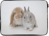 Laptophoes 14 inch 36x26 cm - Konijnen - Macbook & Laptop sleeve Twee konijnen - Laptop hoes met foto