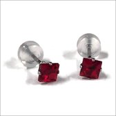 Aramat jewels ® - Zirkonia zweerknopjes vierkant 4mm oorbellen rood chirurgisch staal