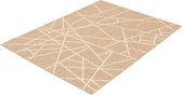 Sisal tapijt Abstract Taupe/Champagne - 310 x 240 cm