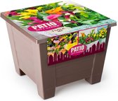 5x Calla doe-het-zelf-kit | Zantedeschien | Gemengde kleuren | Incl. bio afbreekbare pot, grond, bollen en plantinstructies