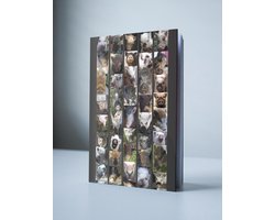 Omslag van Het Grote Kleine Varkens Handboek