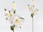Gerimport Kunstbloem Vara Lilium 20 X 18 X 79 Cm Wit/groen