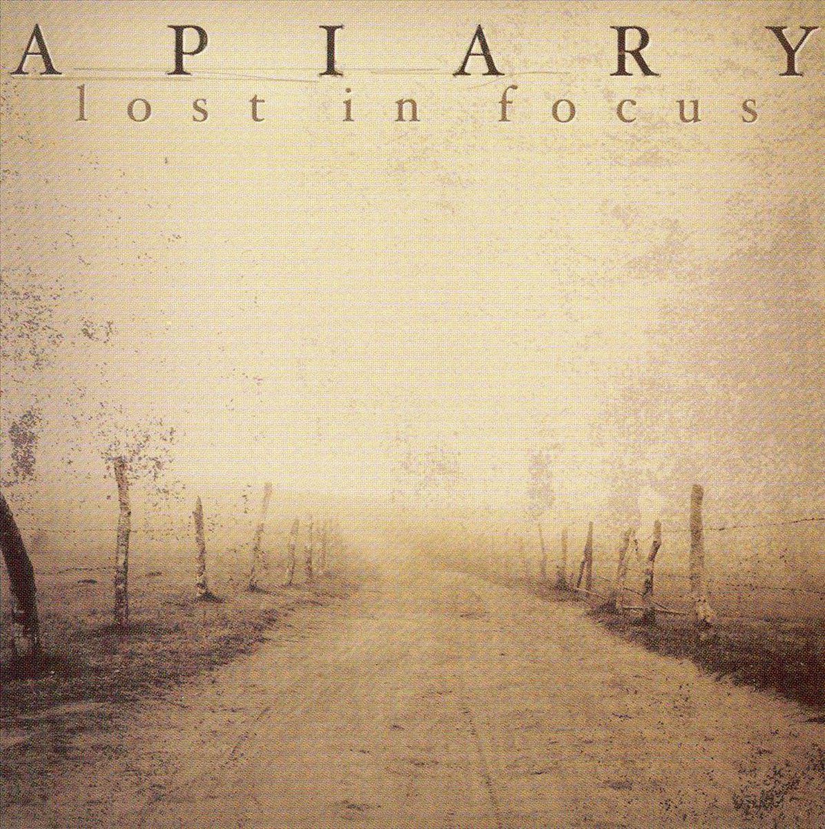 Apiary - Lost In Focus