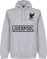 Liverpool Team Hoodie - Grijs - Kinderen - 140