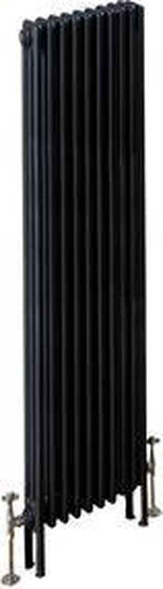 Design radiator verticaal 2 kolom staal mat antraciet 180x47,3cm 1556 watt - Eastbrook Rivassa