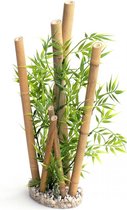 Sydeco bamboe xl planten 38CM