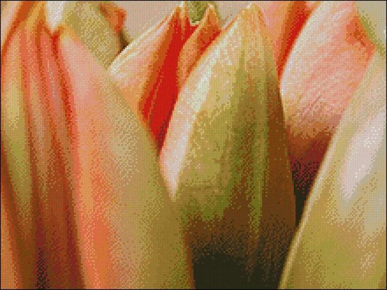 Borduurpatroon Oranje Tulpen Close-up