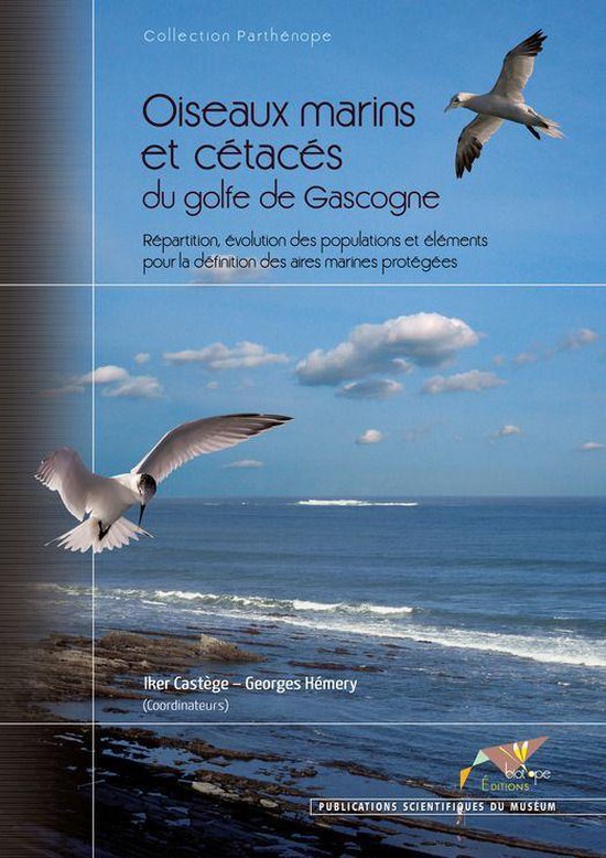 Livre 'Oiseaux marins et cétacés du golfe de Gascogne' avec des mouettes volant au-dessus de l'océan.