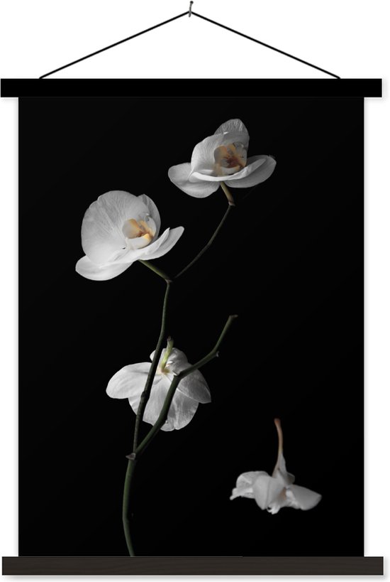 Support pour affiches avec affiche 40x53 cm - Affiche scolaire - Orchidée - Fleurs - Zwart - Wit - Nature morte - Affiche textile - Lattes noires